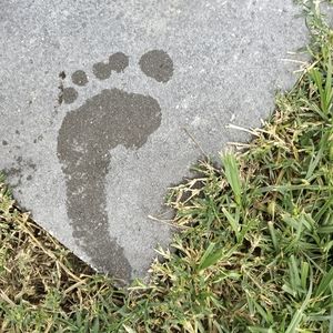 Meet your Posher, Erick